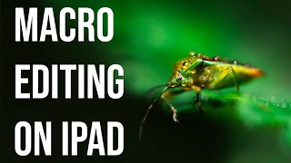 Macro photo editing in Lightroom on iPad: Tips, ideas and workflow