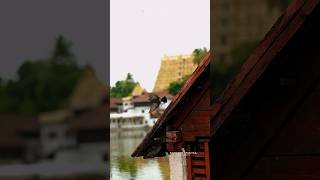 Sree Padmanabhaswamy Temple 🛕 ശ്രീപദ്മനാഭസ്വാമി ക്ഷേത്രം  @sandeepkrishnaphotography8882