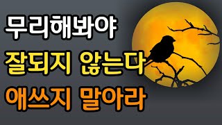 노자가 말하는 진정한 삶의 자세 | 애쓰지 마라 살아가라 그뿐이다 | 도덕경 인류 최고의 지혜 | 인생을 바꿔줄 명언 I 인생조언 I 철학 I 오디오북 I 책읽어주는남자