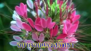 เพลงดอกไม้คุณธรรม