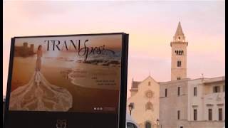 TG TELEREGIONE A TRANI PRESENTATO TRANI SPOSI