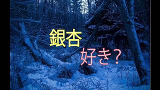 気分転換に、のんびりトーク日記２４