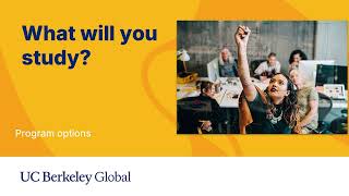 Online Information Session: Berkeley Global Professional Diploma Programs