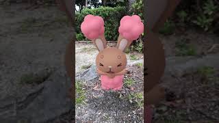 #Shorts【ポケGO】AR動画｜427ミミロル｜Buneary｜花飾りミミロル｜ShinyPokémon｜桜始開（さくらはじめてひらく）｜七十二候｜第十一候｜三熊山｜桜✿