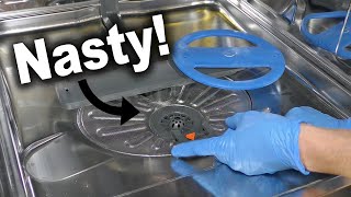 How to Clean a Dishwasher Filter | Frigidaire Gallery