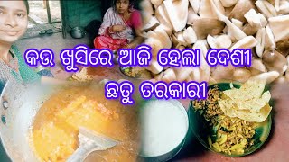 କଉ ଖୁସିରେ ଆଜି ହେଲା ଦେଶୀ ଛତୁ 🍄 ତରକାରୀ //Maa gayatri vlogs// 🙏🙏❤️❤️//