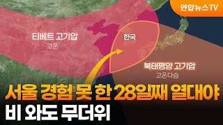 서울 경험 못 한 28일째 열대야…비 와도 무더위 / 연합뉴스TV (YonhapnewsTV)