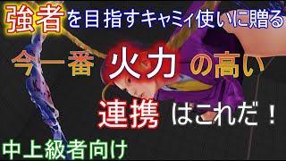 【キャミィ】起き攻めの極致へ！対応力と火力を最大まで引き上げよう【中上級者向け】　キャミィ起き攻め理論　完全版　第六回