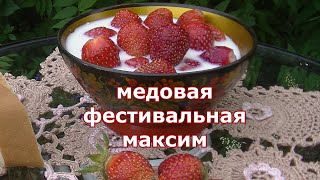 Клубника МЕДОВАЯ, ФЕСТИВАЛЬНАЯ, МАКСИМ подробное описание и дегустация.