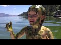 e3live harvest with the incredible green algae man