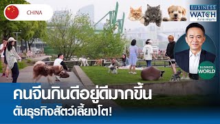 คนจีนกินดีอยู่ดีมากขึ้น ดันธุรกิจสัตว์เลี้ยงโต! #BUSINESSWORLD | BUSINESS WATCH | 26-04-67