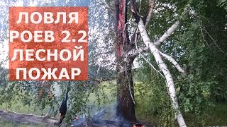 ЛОВЛЯ РОЕВ сезон 2/2 серия - ЛОВЛЯ БРОДЯЧИХ РОЕВ - catcher bee swarms