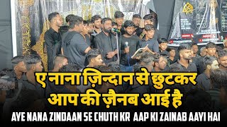 Aye Nana Zindan Se Chut kr Aap Ki Zainab aayi hai | Shabih Abbas Arfi New Noha 2023 | 22 Bihari