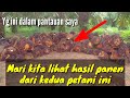 Perbedaan hasil panen kedua kebun sawit ini bagai langit dan bumi@Kopi Inspirasi81