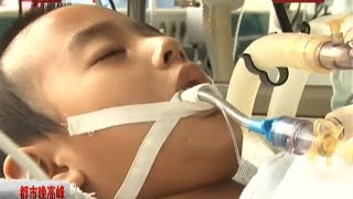 8岁男童脑死亡 捐献器官救五人