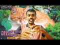 information about cat பூனைகள் பற்றிய சுவாரஸ்யமான தகவவல்கள் புலிகுட்டி தம்பி பூனை குட்டி😂😂😂😂😂😂