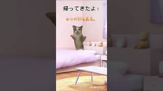 過敏性腸症候群　ガス型　無眠の修学旅行　後編(完) 猫ミーム