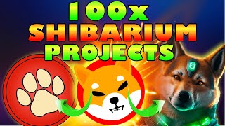 Upcoming SHIBARIUM 100X Projects: PAWZONE Will Burn Shiba Inu Tokens