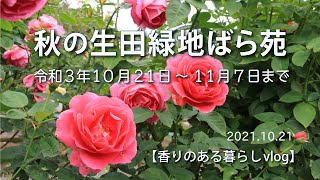 秋の生田緑地ばら苑 2021【香りのある暮らしvlog】素敵な植物と出会えるおすすめスポットpart ３