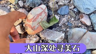 无意间发现的一个小河道竟然也有这么漂亮的石头，迫不及待下河捡