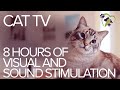 TV for Cats: 8 Hours of Visual and Sound Stimulation