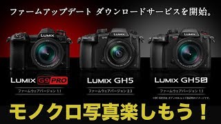 【カメラ】PanasonicのG9Pro GH5S GH5がパワーアップ！