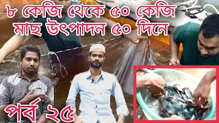 বায়োফ্লক ১২০ দিন চ্যালেঞ্জ ২৫ তম পর্ব।৮ কেজি থেকে ৫০ কেজি মাছ উৎপাদন ৫০ দিনে।