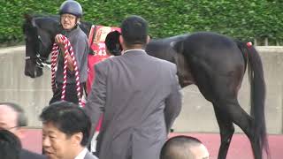 スプリンターズステークス　優勝馬　ローレルゲレイロ号［1］2009年10月4日（日）中山競馬場