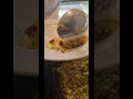 indoori steamed poha