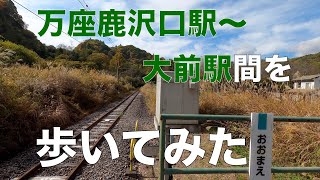 万座鹿沢口駅〜大前駅間を歩いてみた