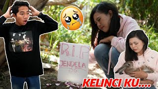 SEDIH! KELINCI KESAYANGAN BIAN MATI, BIAN SAMPAI NANGIS KEJER! | Mikael Family