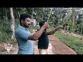 trivandrum tourist places pulippara പുലിപ്പാറ