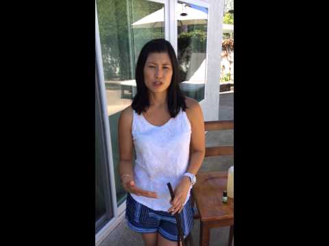 How to Stop Dog from Licking Paws How to Stop Dog from Licking Paws