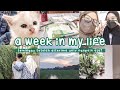 a week in my life | kehidupanku di minggu terakhir bulan juni