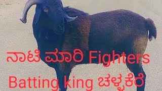 ನಾಟಿ ಮಾರಿ fighter ಚಳ್ಳಕೆರೆ ಚಿತ್ರದುರ್ಗ ಸಂದರ್ಶನ