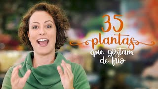 35 PLANTAS que amam FRIO (boas pro INVERNO)