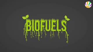 Biofuels: The Future of Renewable Energy \u0026 Sustainable Fuel Solutions