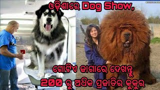 Dog show In Bhubaneswar, Odisha 2017 latest video where you can see more than 200 types of Dogs