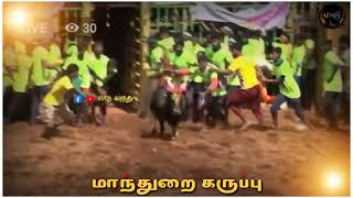 விழப்பள்ளம் ஜல்லிக்கட்டு 2022 மாந்துறை கருப்பு 💥