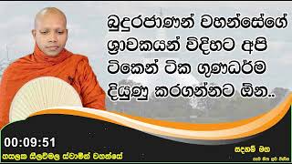 අපි ටිකෙන් ටික ගුණධර්ම දියුණු කරගන්නට ඕන..1306Ven Hasalaka Seelawimala Thero