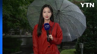 [날씨] 충청·호남 호우경보...내일까지 300mm 이상 더 온다 / YTN