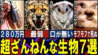 【閲覧注意】あまりに欠陥だらけの生き物７選【ゆっくり解説】【動物おもしろ雑学】