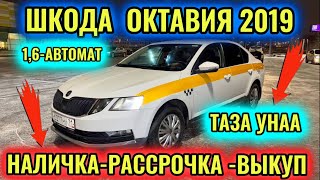 ТАЗА ШКОДА ОКТАВИЯ 2019 1,6-автомат #89687066158 НАЛ-РАСРОЧКА-ВЫКУП! ВАРИАНТ БАР 🔥