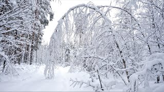 Värska 26.12.2020