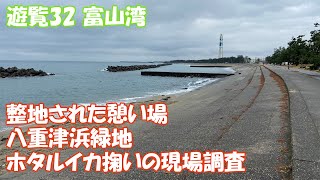 【これぱ！遊覧32】富山県の神秘≪ホタルイカの身投げ≫整地された憩いの場所、八重津浜緑地にホタルイカ掬いの現場調査に行ってきた