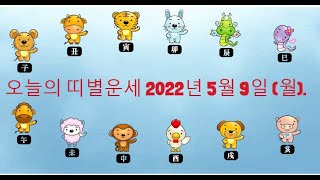 오늘의 띠별운세 2022년 5월 9일 (월).