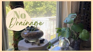 Changing my Monstera Deliciosa to no drainage | no drainage potting, diy pon, semi-hydro