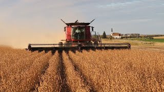 AgweekTV: Soy Insight - Soybean Production on the Rise in ND