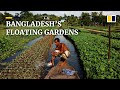 Floating farms in Bangladesh enables year-round farming