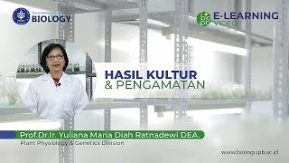 Kultur Jaringan dan Sel Tumbuhan  : Hasil Kultur dan Pengamatan (Materi 3, Part 3A)